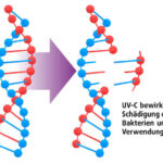 UV-Luftsterilisation durch UVA und UVC Strahlung